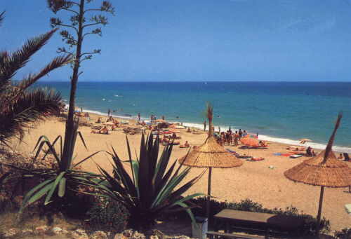 Strand